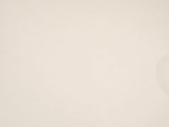 -华辉拉肠(广园店)