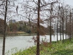 -怡海公园(桂城街道)