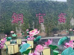 -长沙黑麋峰国家森林公园