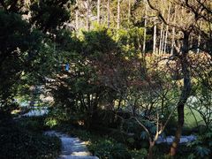 -上海醉白池公园