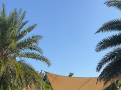 -三亚海棠湾喜来登度假酒店