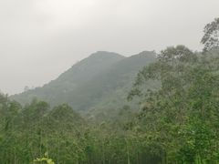 -黄埔油麻山森林公园