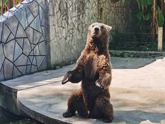 -贵州森林野生动物园