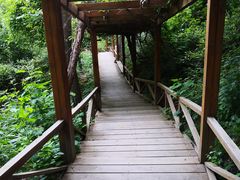 -大岭沟猕猴桃谷风景区