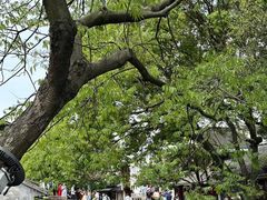 -周庄古镇景区-双桥