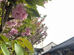 -嵊州特色小吃(萧山街店)