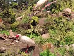 -陕西自然博物馆