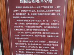-绮园景区