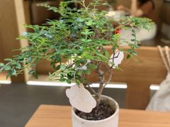 -CURRY YA 熟成咖哩專門店(深圳湾万象城店)