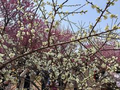 -蜀冈西峰生态公园