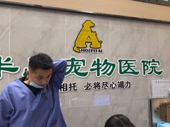 -半岛宠物医院24小时(科华中路店)
