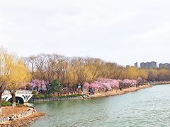 -大兴滨河森林公园