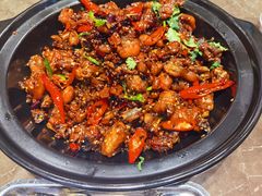 -齐河孔雀王温泉酒店·金孔雀自助百汇