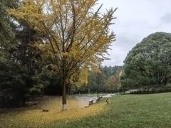-贵阳市花溪国家城市湿地公园