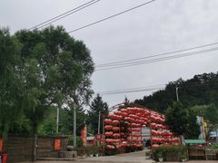 -龙福源密云水库灶台鱼
