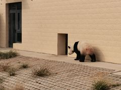 -石家庄市动物园