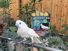 -南宫五洲植物乐园