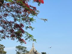 -朱家花园