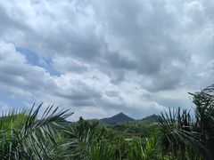 -番禺大夫山森林公园