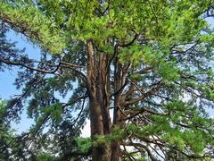 -终南山南五台景区