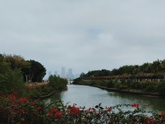 -万绿园
