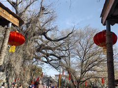 -大槐树寻根祭祖园