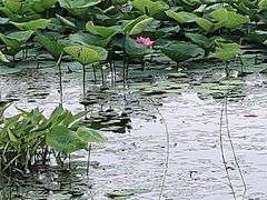 -澹台湖公园