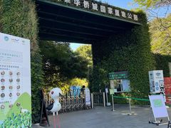 -华侨城湿地公园
