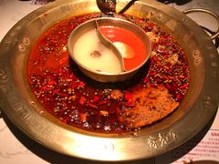 -哥老官重庆美蛙鱼头(宝山龙湖店)