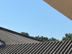 -长洲岛