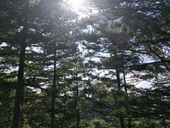 -洛阳白云山景区