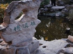 -趵突泉景区