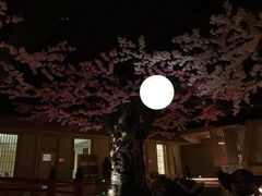 -蓝鲸湾汤泉(包河店)