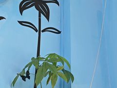 -萨朗刀克冰淇淋雪花凉(植物园店)