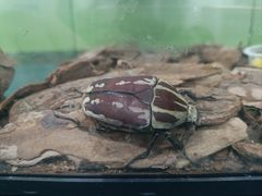 -万达广场(宜兴店)