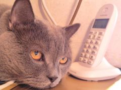 -Me Coffee下午茶艺术空间