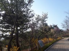-浮山香苑
