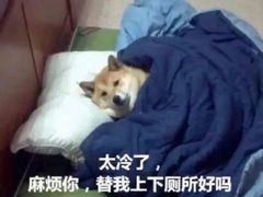 -耶里夏丽·丝路新疆菜·清真食品(徐汇南丹东路臻选店)