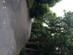 -春兰国宾馆(凤城河风景区老街店)