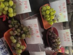 -马陆小张葡萄园农家乐