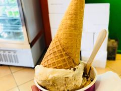 -Dooley's Premium Ice Cream