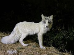 -鬼笑石后山停车场