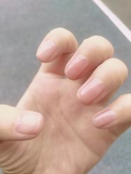 -ALNL清莲爱丽
