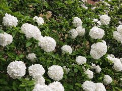 -杭州师范大学(下沙校区)