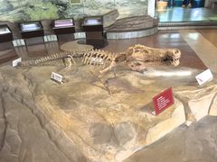 -自贡恐龙博物馆