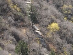 -伏羲山旅游区