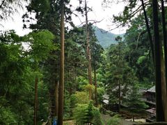 -东天目山风景区