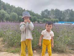 -北戴河集发农业梦想王国