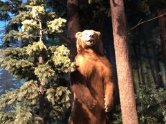 -陕西自然博物馆