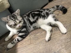 -小时光咖啡馆(开森度假森林店)